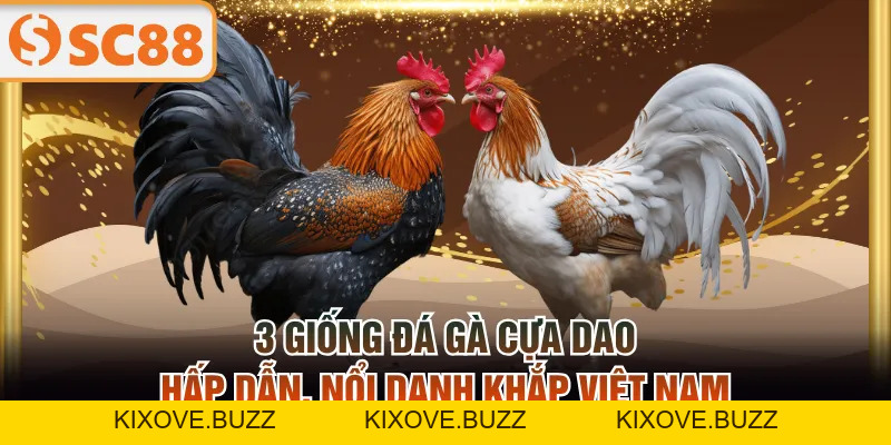 Đá Gà SC88 Cập Nhật Thông Tin Liên Tục Với 2 Sảnh Độc Quyền - kixove.buzz