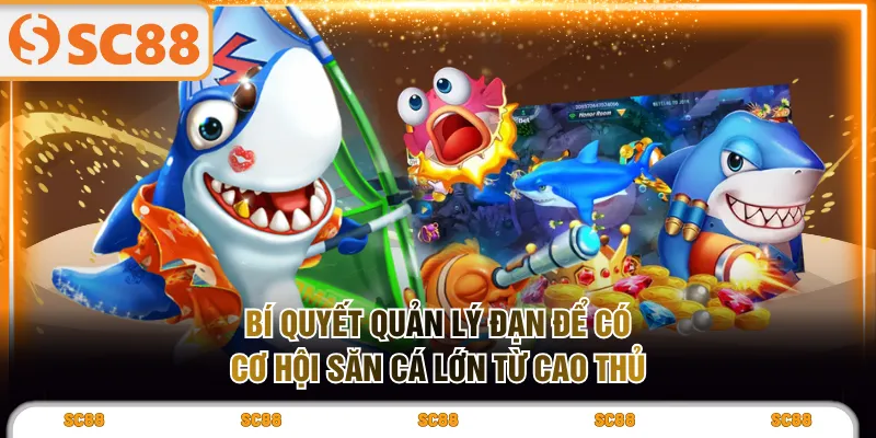 Rainbow Fish Bắn Cá | Luật Chơi & Bí Quyết Săn Thưởng Cao - kixove.buzz