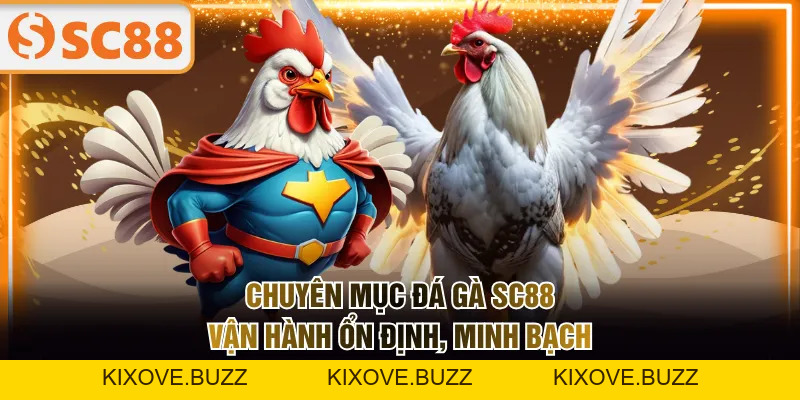 Đá Gà SC88 Cập Nhật Thông Tin Liên Tục Với 2 Sảnh Độc Quyền - kixove.buzz