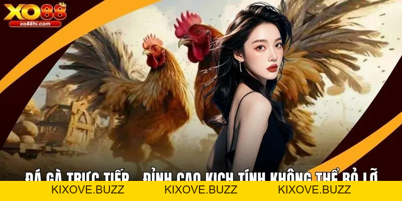 Cách Chơi Baccarat Chi Tiết Nhất Tại XO88 Năm 2026 - kixove.buzz
