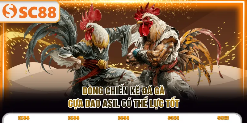 3 Giống Đá Gà Cựa Dao Hấp Dẫn, Nổi Danh Khắp Việt Nam - kixove.buzz