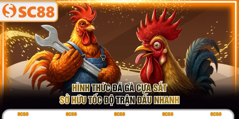 Hình Thức Đá Gà Cựa Sắt Nhịp Độ Nhanh, Tính Giải Trí Cao - kixove.buzz