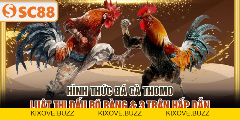 Đá Gà SC88 Cập Nhật Thông Tin Liên Tục Với 2 Sảnh Độc Quyền - kixove.buzz