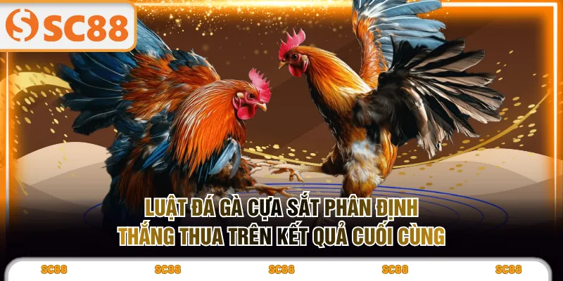 Hình Thức Đá Gà Cựa Sắt Nhịp Độ Nhanh, Tính Giải Trí Cao - kixove.buzz