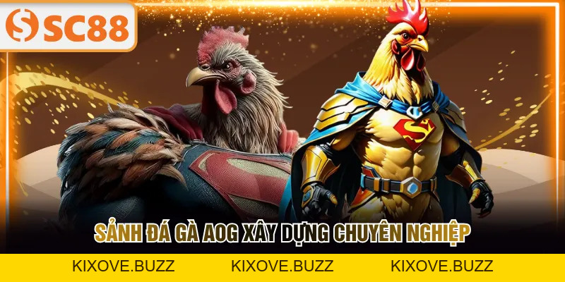 Đá Gà SC88 Cập Nhật Thông Tin Liên Tục Với 2 Sảnh Độc Quyền - kixove.buzz