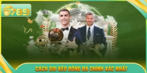 thể thao - 6789 - kixove.buzz