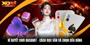 XO88 Fvb - Sân Chơi Xo88.Com Cá Cược Thể Thao, Live Casino Uy Tín 2026 - kixove.buzz