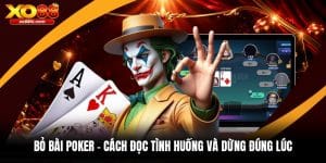 XO88 Fvb - Sân Chơi Xo88.Com Cá Cược Thể Thao, Live Casino Uy Tín 2026 - kixove.buzz