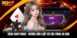 Blog Nhà Cái XO88 – Nền Tảng Cập Nhật Tin Tức Đầy Đủ - kixove.buzz