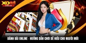 XO88 Fvb - Sân Chơi Xo88.Com Cá Cược Thể Thao, Live Casino Uy Tín 2026 - kixove.buzz